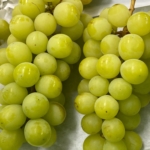 Thumbnail of post image 094